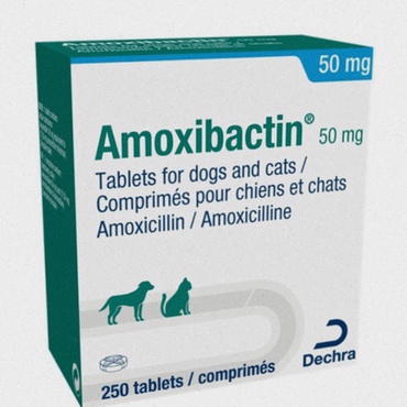 médicament infection urinaire